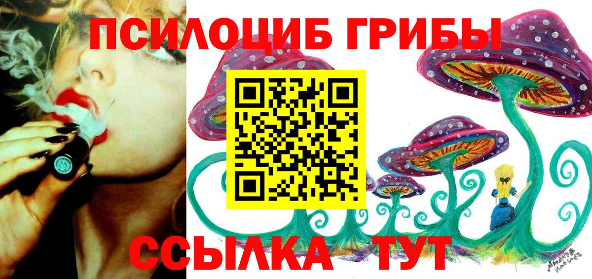 Строитель  Псилоцибиновые грибы Psilocybine cubensis  Вход с VPN  Галлюциногенные грибы MAGIC MUSHROOMS 