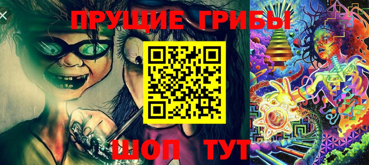 Псилоцибиновые грибы Cubensis Строитель